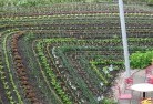 Colly Bluepermaculture-5.jpg; ?>
